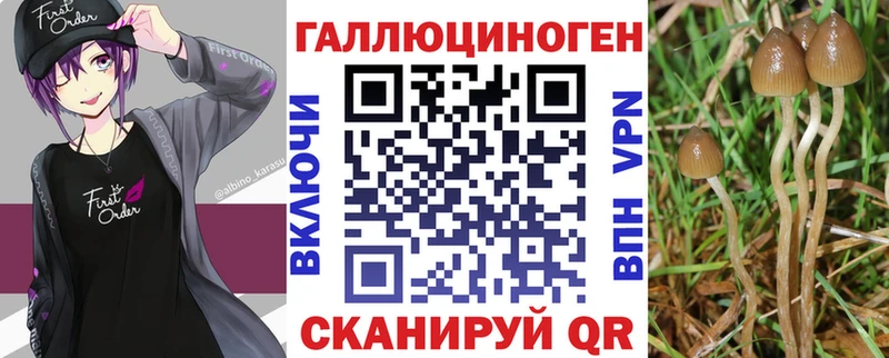 Купить закладки  Апшеронск  Псилоцибиновые грибы мухоморы 